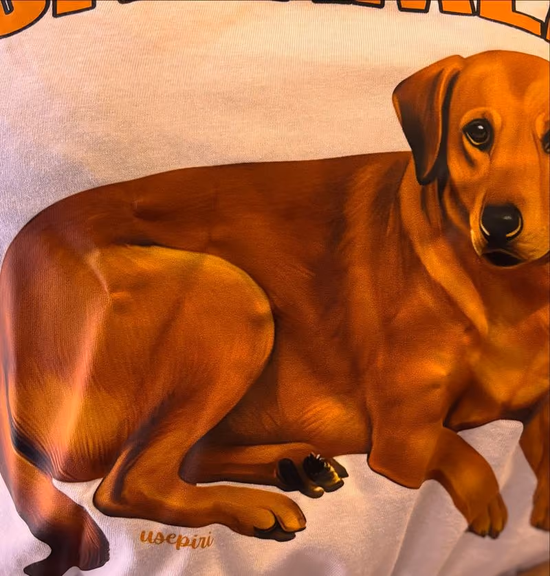Camiseta Caramela · UsePiri
