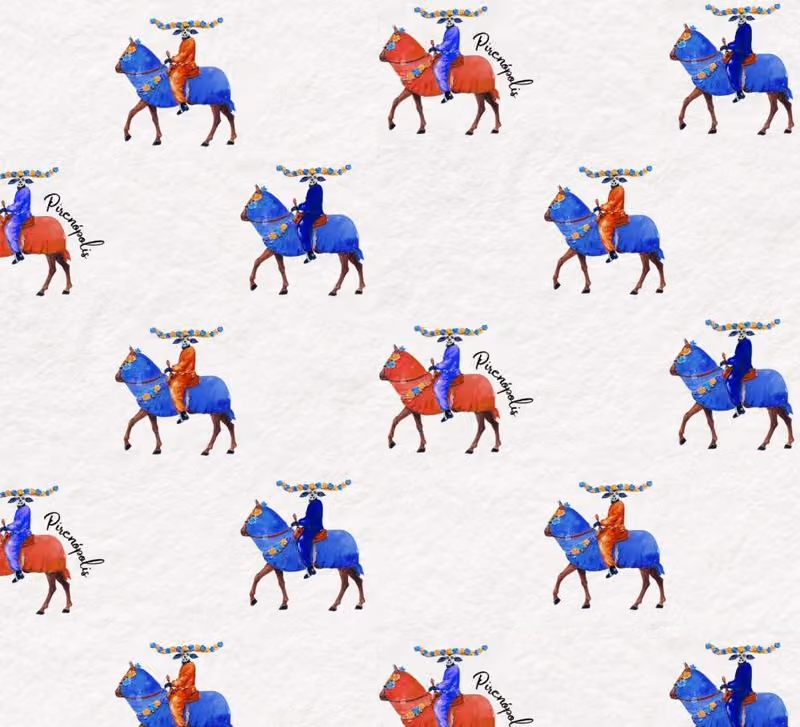 Camisa Cavalhadas · UsePiri